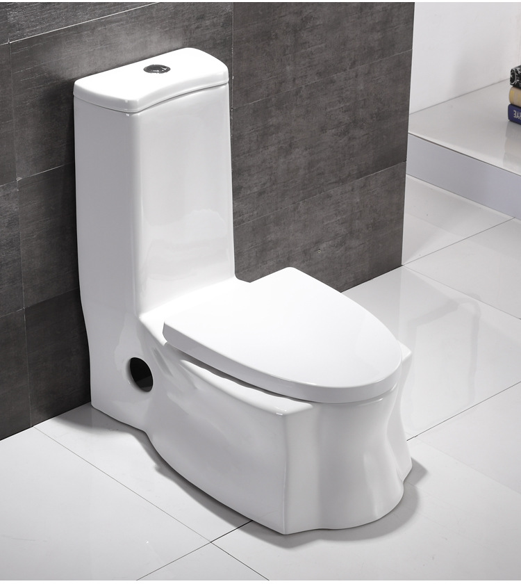 蒂雅妮陶瓷家用蹲坐双用马桶坐便器可蹲可坐两用虹吸式蹲便器