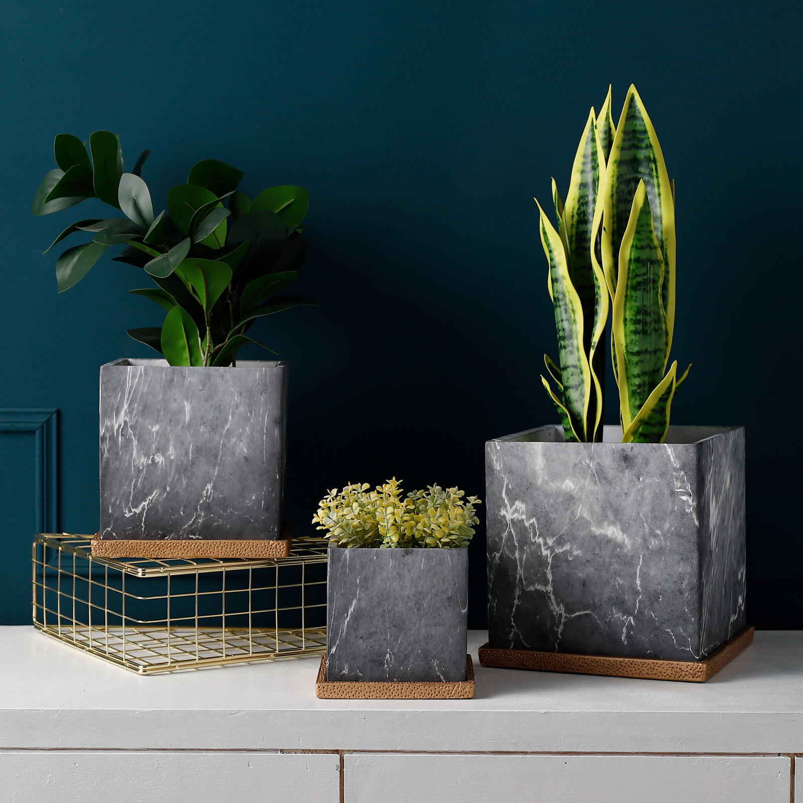 花盆容器今日价格行情查询-花卉仙人掌好养办公室电脑绿植-阿里巴巴