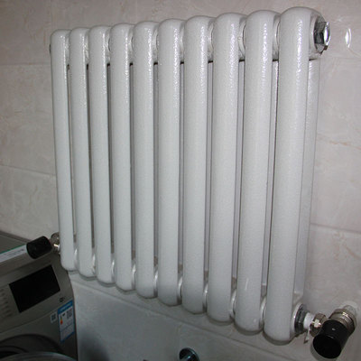 卫生间暖气片家用水暖散热片壁挂式明装铸铁烤漆集中供暖客厅