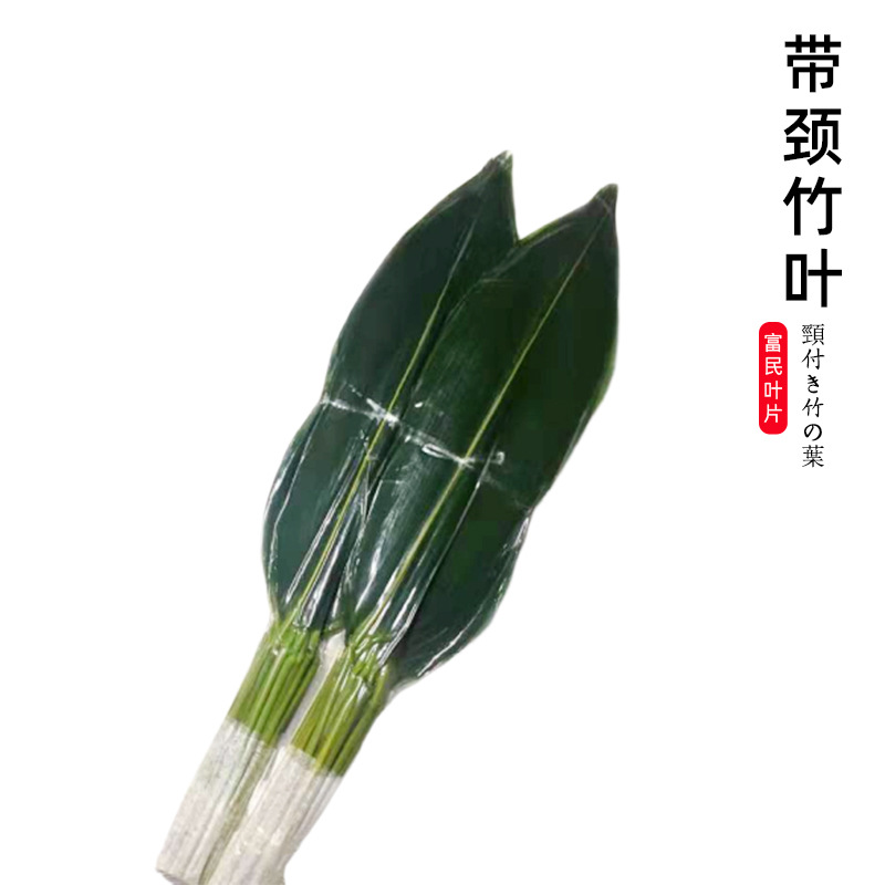 供应青竹叶 粽子叶  寿司装饰摆盘竹叶  带颈竹叶