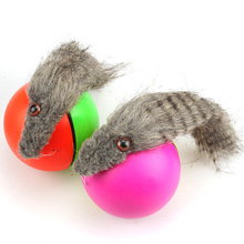 海狸鼠电动玩具海狸球 水老鼠玩具 会游泳顶球 海豚电动戏球批发