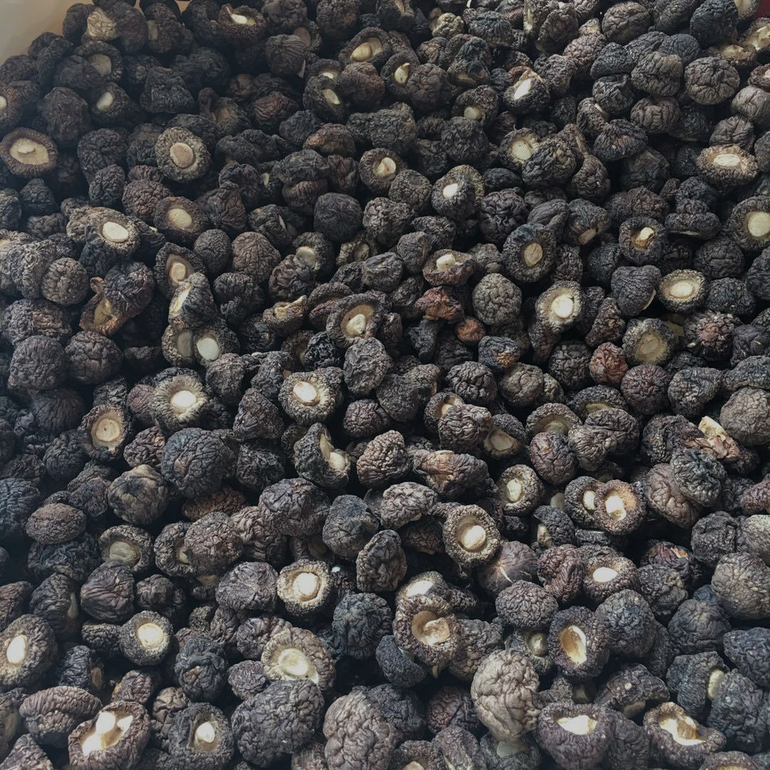 新货金钱菇 珍珠菇 香菇 1.5-2cm小香菇 250克 古田 干货礼品年货