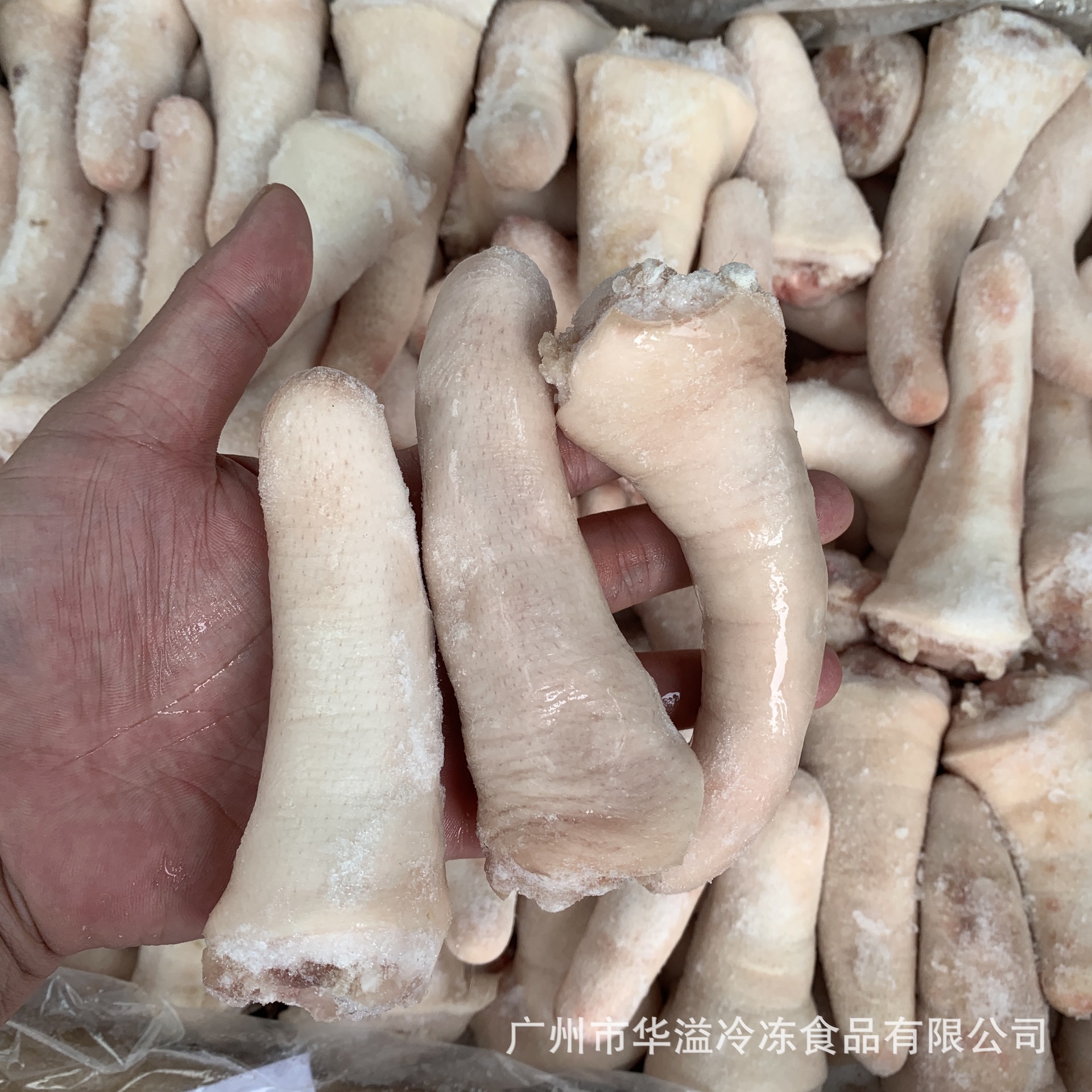 冷冻猪尾 短猪尾 干水20斤/箱 广州批发猪尾 速冻短猪尾 猪尾巴
