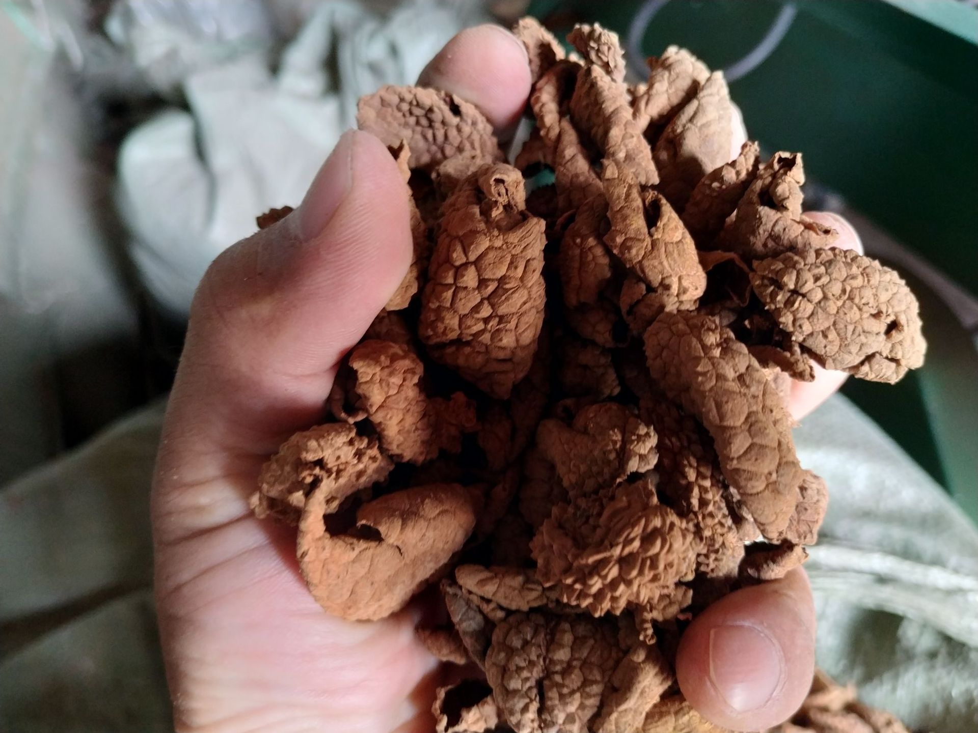 中药材荔枝壳 干荔枝壳 荔枝皮 无硫 农家自晒 产地批发