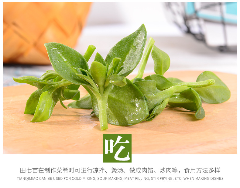 新鲜蔬菜田七苗田七叶子食用蔬菜田七野菜素食餐厅酒店特色食材