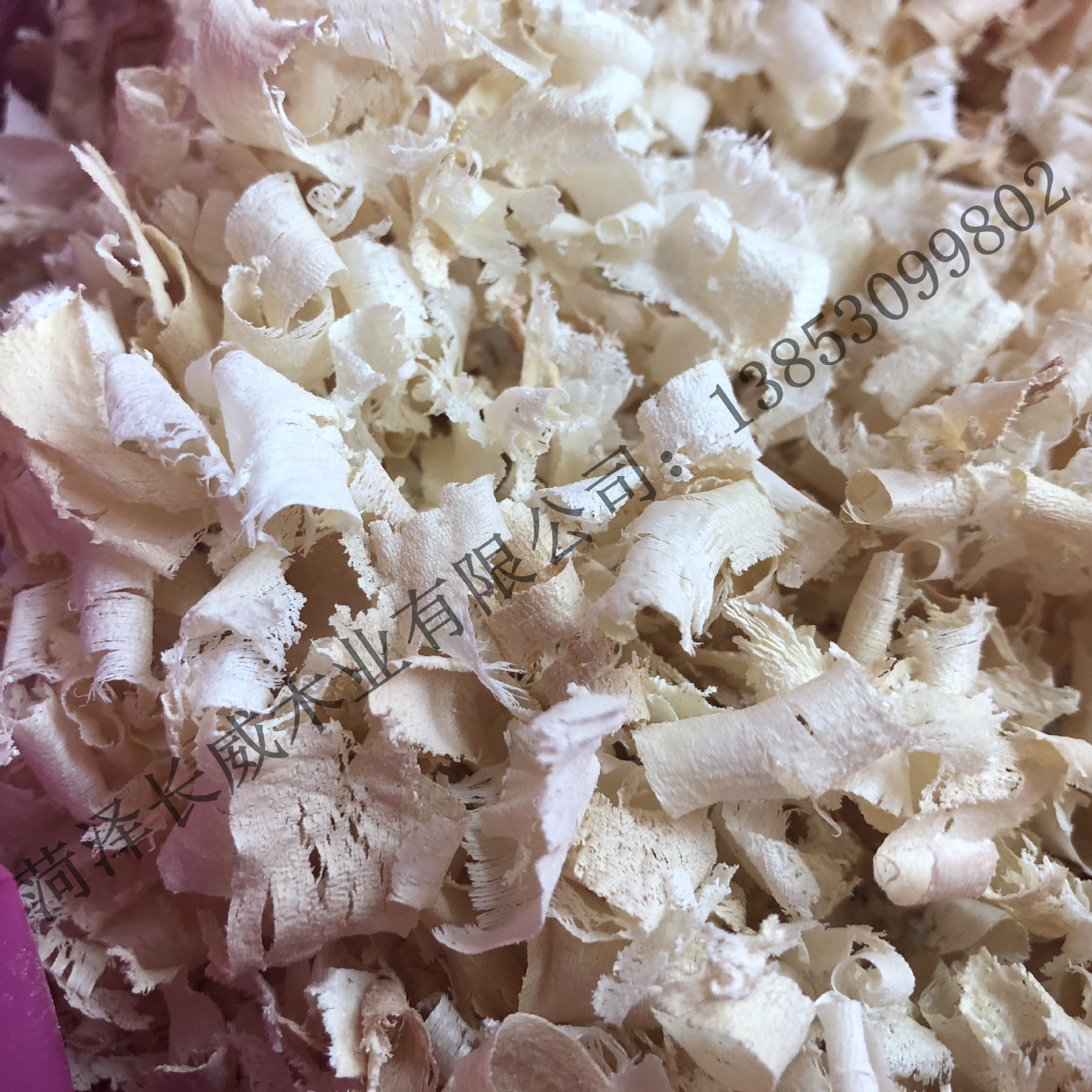 宠物用品木屑仓鼠兔子荷兰猪垫料锯末刨花批发