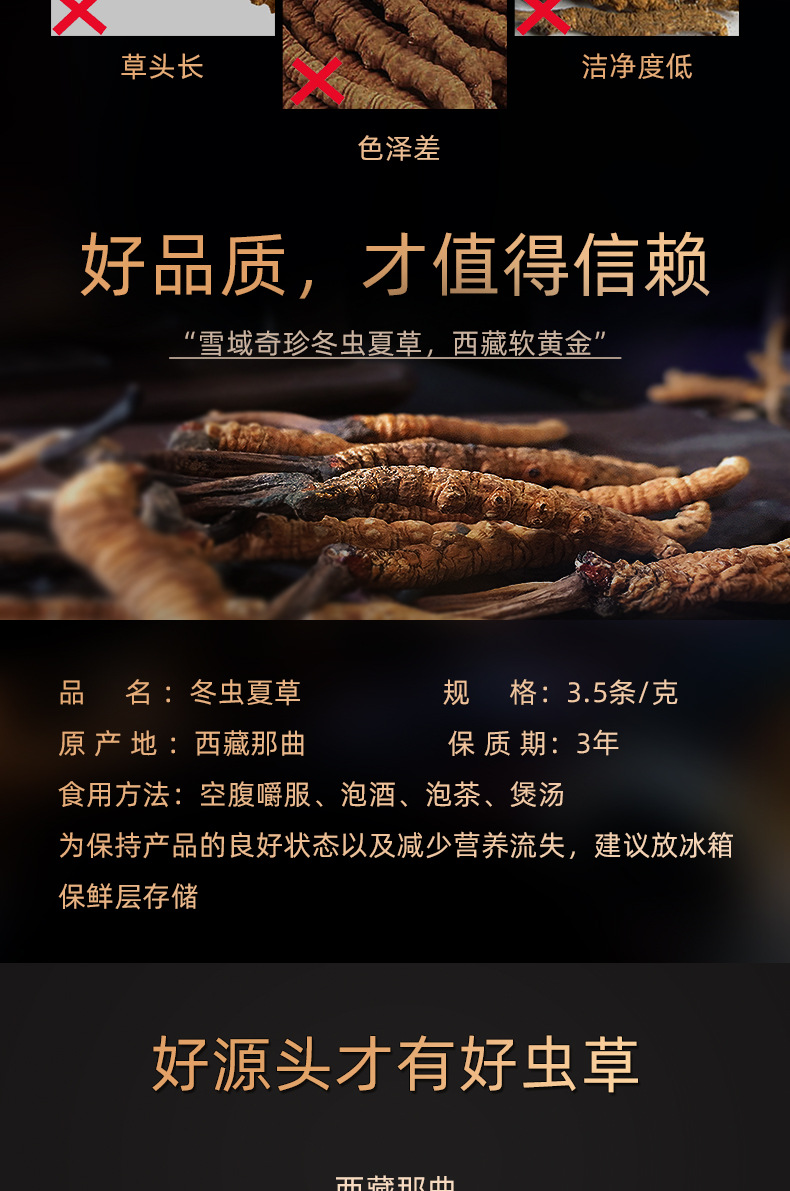 西藏那曲冬虫夏草 新鲜冬虫夏草 散装虫草3.5条/克无断草