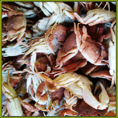 黄海海产品批发干小螃蟹 油炸调味品原料 散货 干度好
