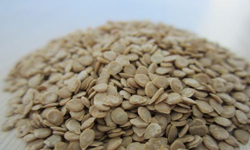 艾森生物 番茄籽油 西红柿籽油 原料供应 超临界co2萃取