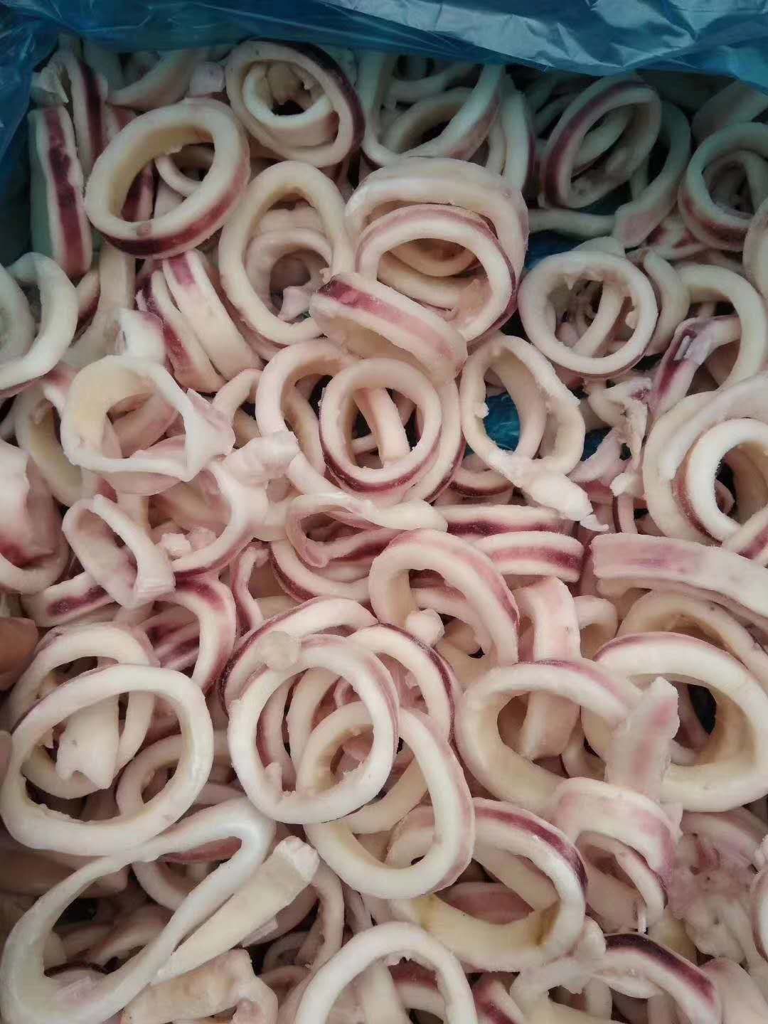 冷冻新鲜鱿鱼圈5斤装熟冻捞汁麻辣小海鲜食材原料自助食堂餐饮食