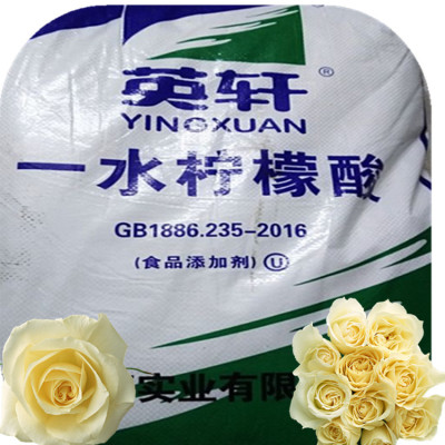 桂林灌阳高纯度一水柠檬酸 荔浦县小颗粒环保柠檬酸