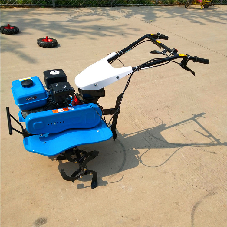 可配多种工具手扶汽油微耕机 手柄可升降微耕机 辣椒地旋耕机型号