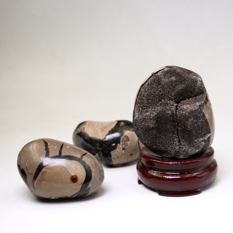 马达加斯加龟背石奇石矿石原石标本科普收藏摆放奇石矿物