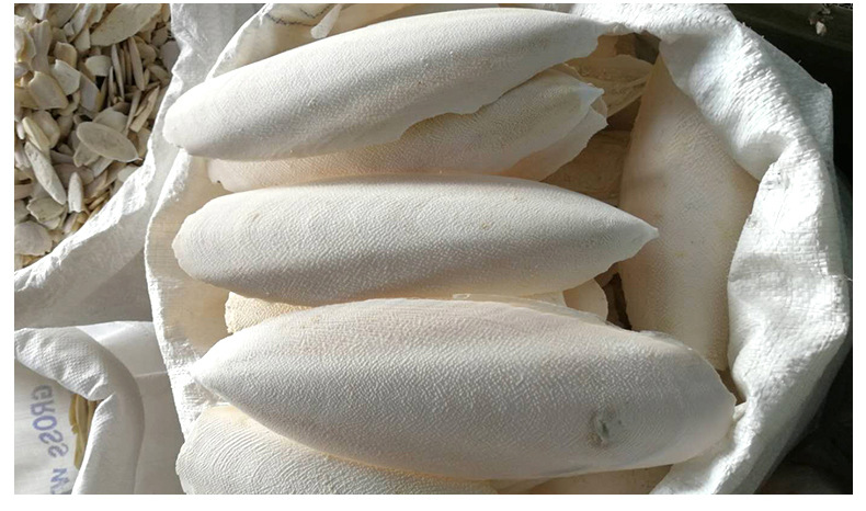 海螵蛸500g 乌贼骨墨鱼骨 散装中药材 产地货源无杂新货海螵