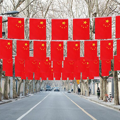 8号小国旗串旗国庆装饰小串旗吊旗国旗7号14*21 8号14*21国旗串