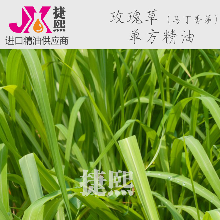 批发  玫瑰草(马丁香茅)单方精油Palsmarosa 香薰油 精油原料