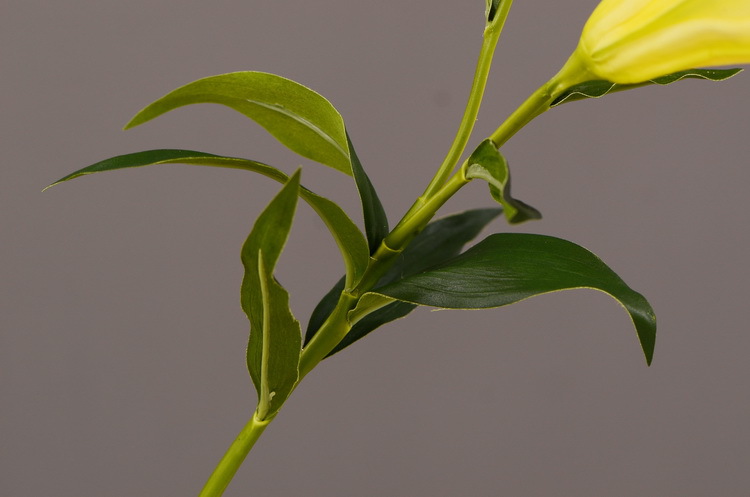 高档仿真花假花批发pu花仿真铁炮百合花客厅餐桌茶几装饰花摆件