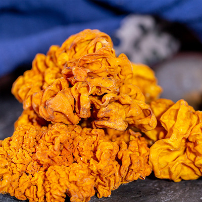 云南黄木耳 黄耳 银耳大号 野生食用菌批发干木耳500g干金木耳