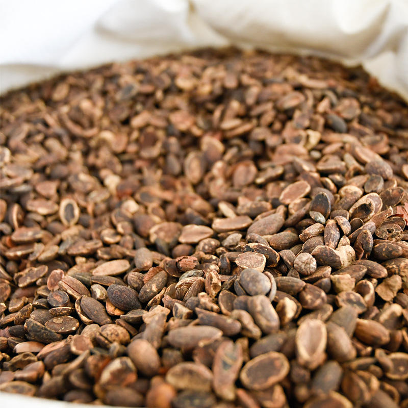 源头厂家2019纯野生择子粉橡子淀粉出口品质择子豆腐专用500g