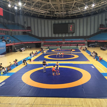 厂家直销柔道摔跤盖单 武术柔道散打训练垫柔道比赛专用器材场地