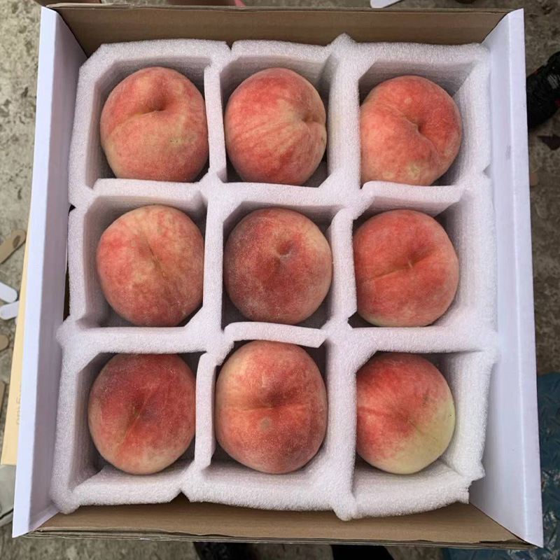 草莓海绵托草莓包装内衬海绵水果海绵快递专用海绵垫片海棉托盘