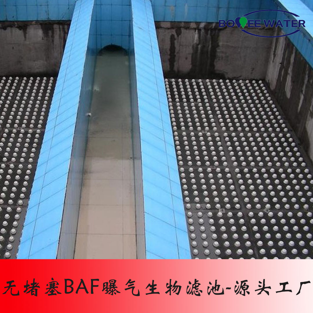 无堵塞曝气生物滤池 一体化钢结构baf滤池 厂家直销