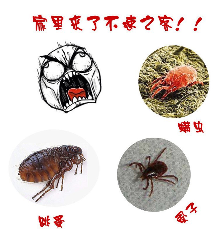宠物体外驱虫除蜱虫跳蚤杀螨虫虱子蚤立清杀虫剂批发一件代发