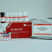 科学实验用 小鼠血管紧张素转换酶ELISA试剂盒 Elisa试剂盒 Elisa