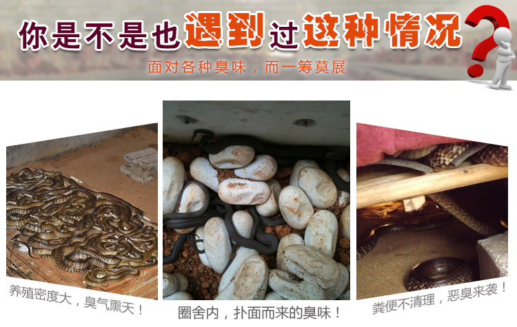 蛇粪怎么除臭用什么药怎么卖的