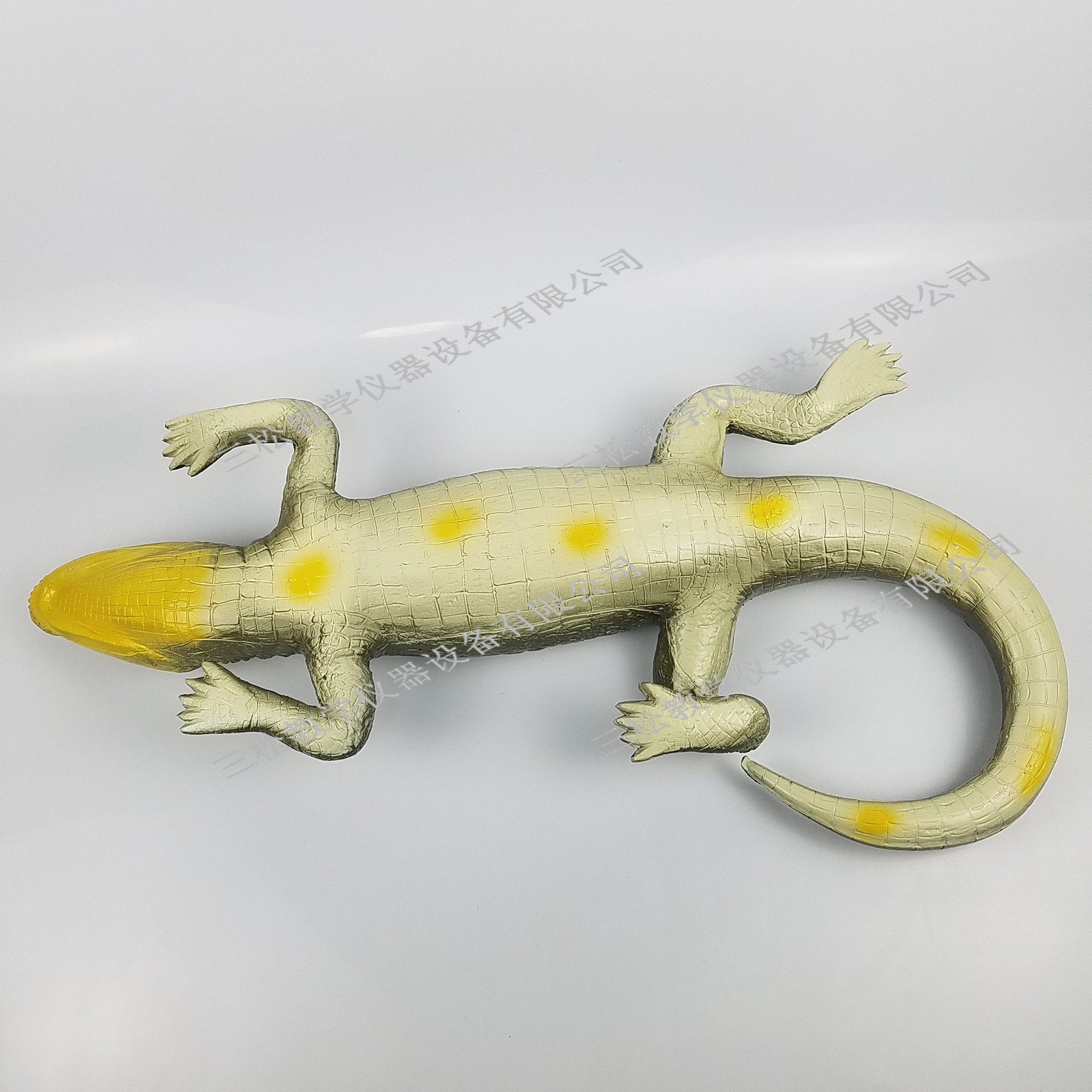 3234仿真扬子鳄模型 珍稀动物模型 生物标本科普教学仪器