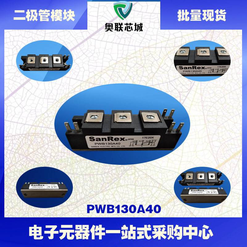 PWB130A40/30 PWB150A40/30 PWB200AA40/30 三社可控硅模块