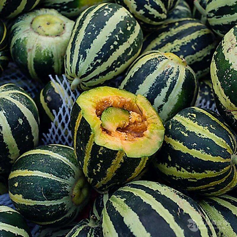青皮面瓜种子甜瓜籽花皮甜瓜种子蔬菜种子批发菜种菜籽