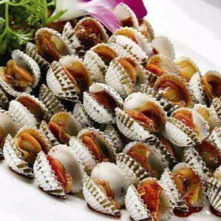 乐清湾鲜活血蛤1kg肥厚味美海鲜水产新鲜限时特惠