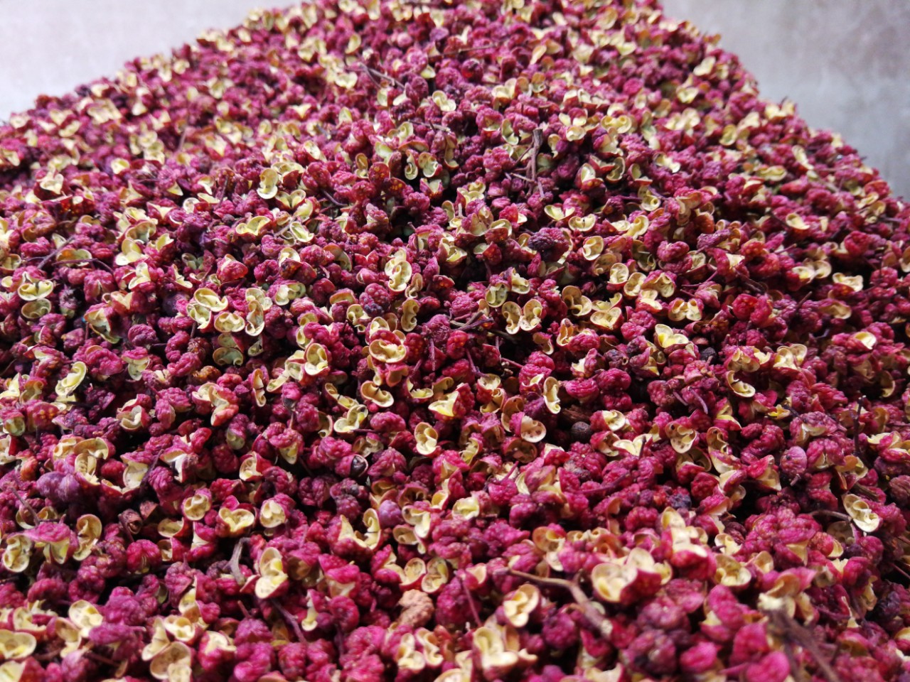 现货批发原产地直供四川茂汶花椒伏椒汉源花椒大红袍麻椒特价批发