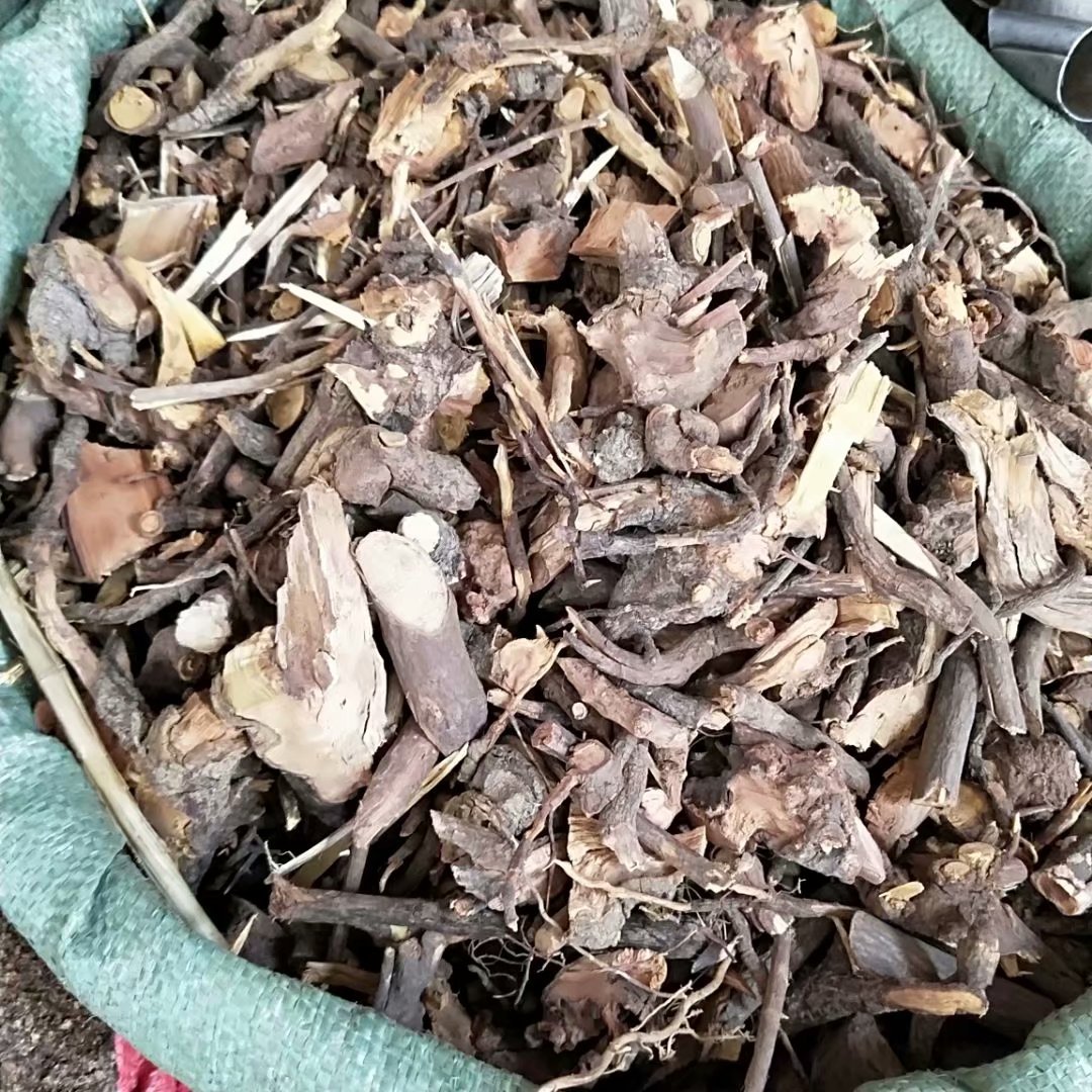 中药材睇牛仔 苦李根 狐狸根 掌牛仔