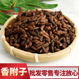 香附子 籽子药材香附子 香附承接大货 量大从优附子