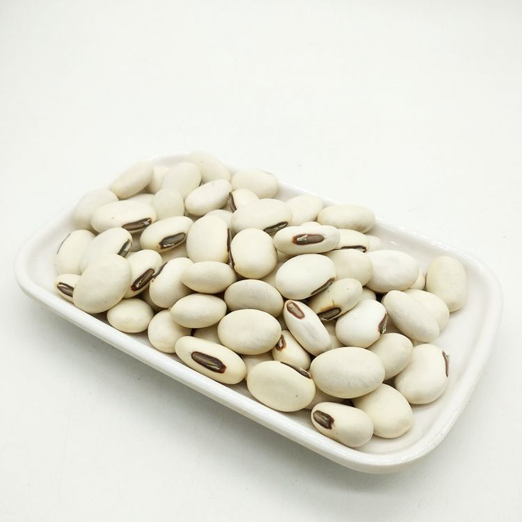 中药材批发 白刀豆 白凤豆 洋刀豆 立刀豆 刀豆