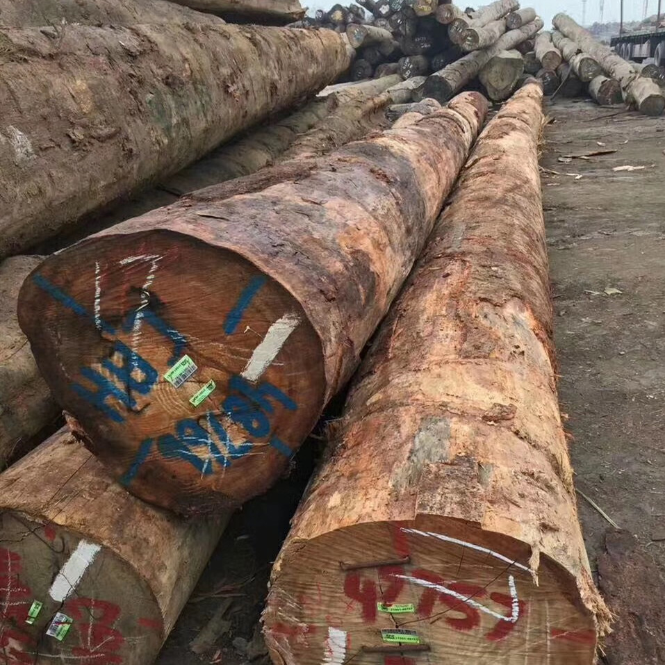 进口香樟木原木 香樟木烘干板材 国产香樟木 厂家直供 生产供应