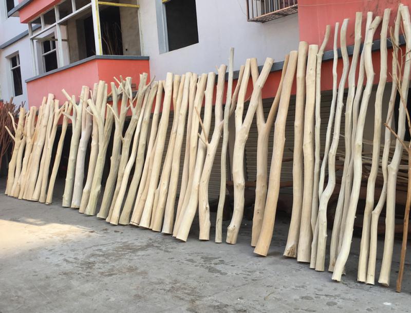 天然干树枝家居造型去皮防腐木树枝橱窗隔断树干树杈枯枝批发供应