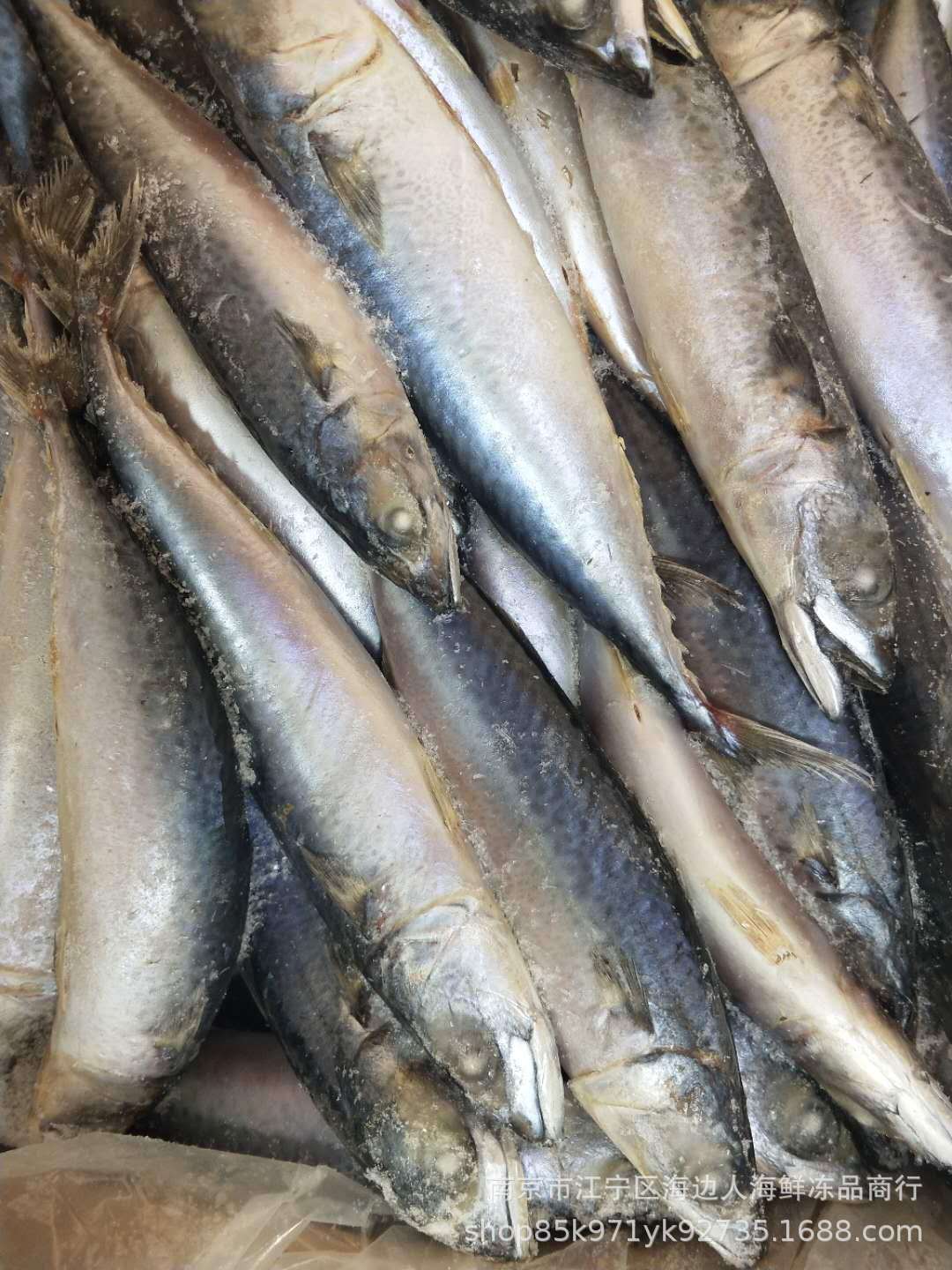 青条鱼又叫台巴鱼丶小青鱼丶量大从优商品描述用途食用储存条件冷冻