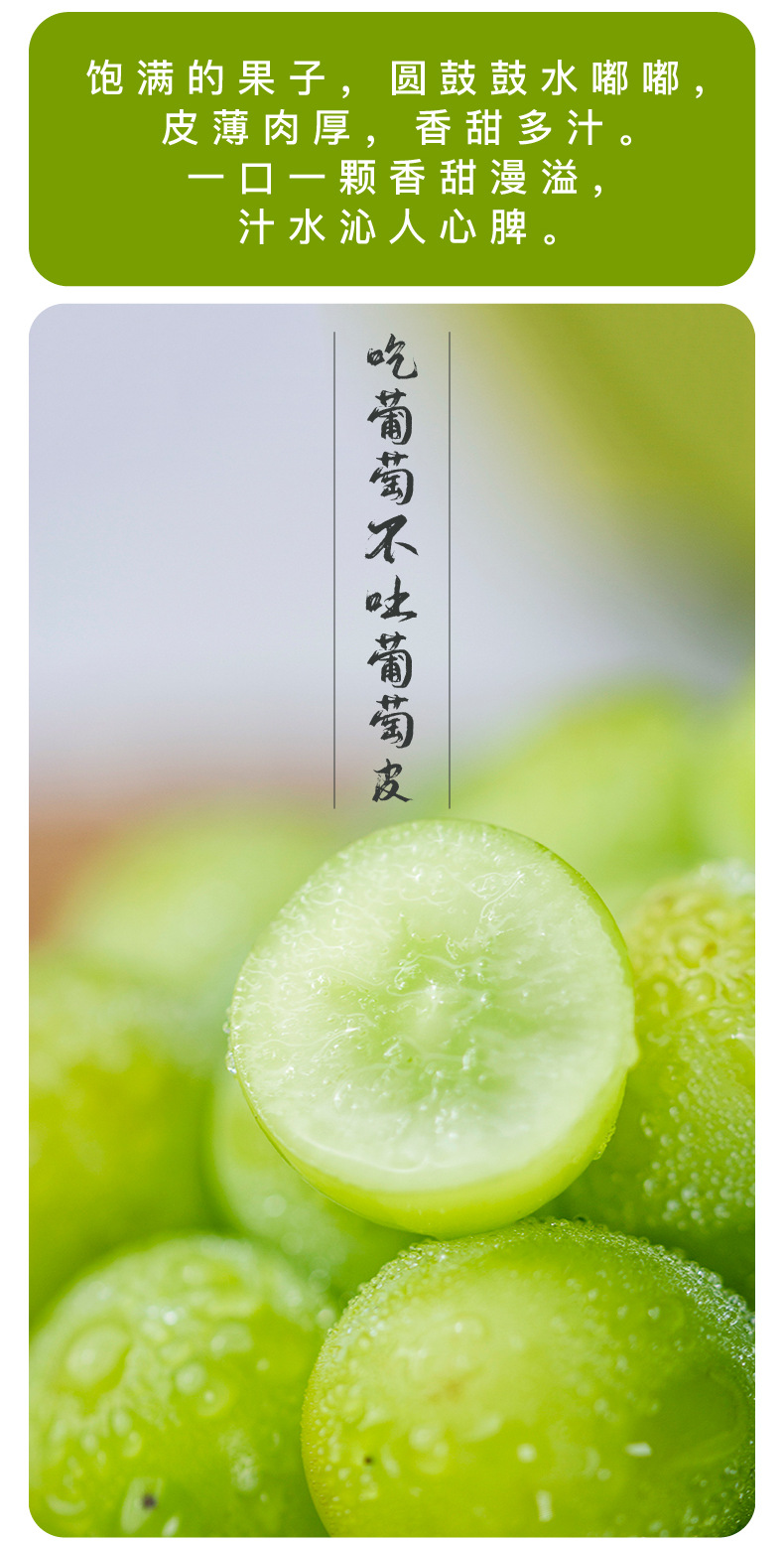 顺丰包邮阳光玫瑰香葡萄青提新鲜水果包邮无籽葡萄香印提子非晴王