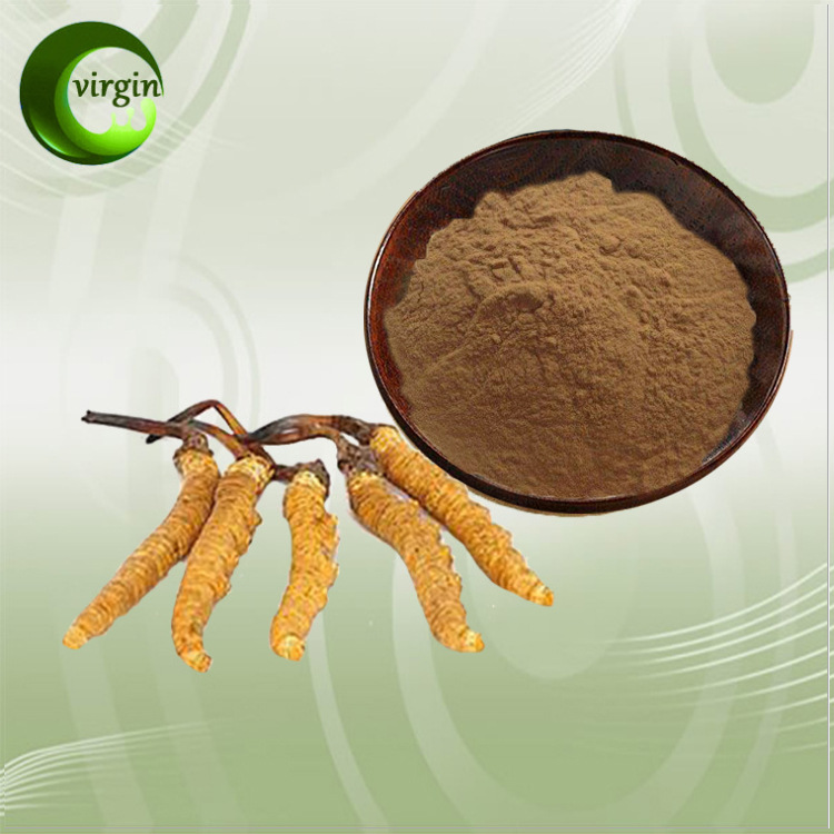 源头厂家 虫草素1%-10% 冬虫夏草萃取物 高含量虫草提取物 包邮