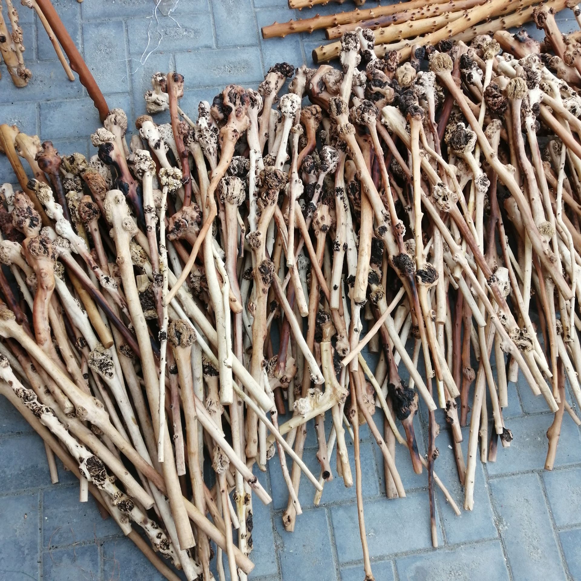 云南黑果木锤 敲背锤子山茶木健身锤留疤木根雕手把玩棍 树瘤拐杖