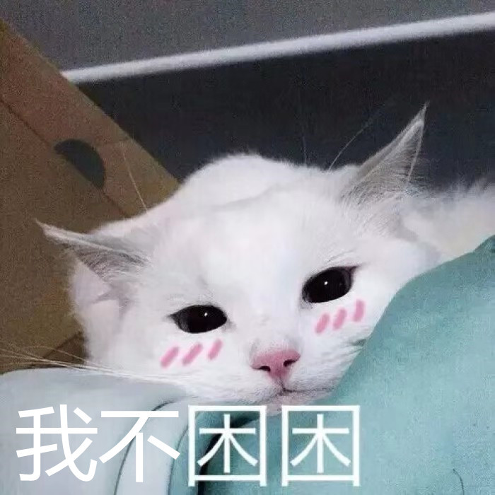 【我有话说】 - 我只想睡觉,我招谁惹谁了(笑哭)