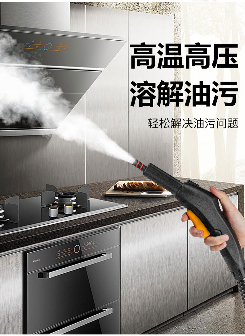 蒸汽清洗机空调厨房清洁机蒸汽清洗机干湿两用一件代发
