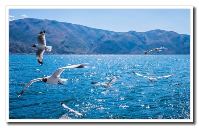 风雨同舟砥砺前行贯硕微动开关创新活力共赢未来