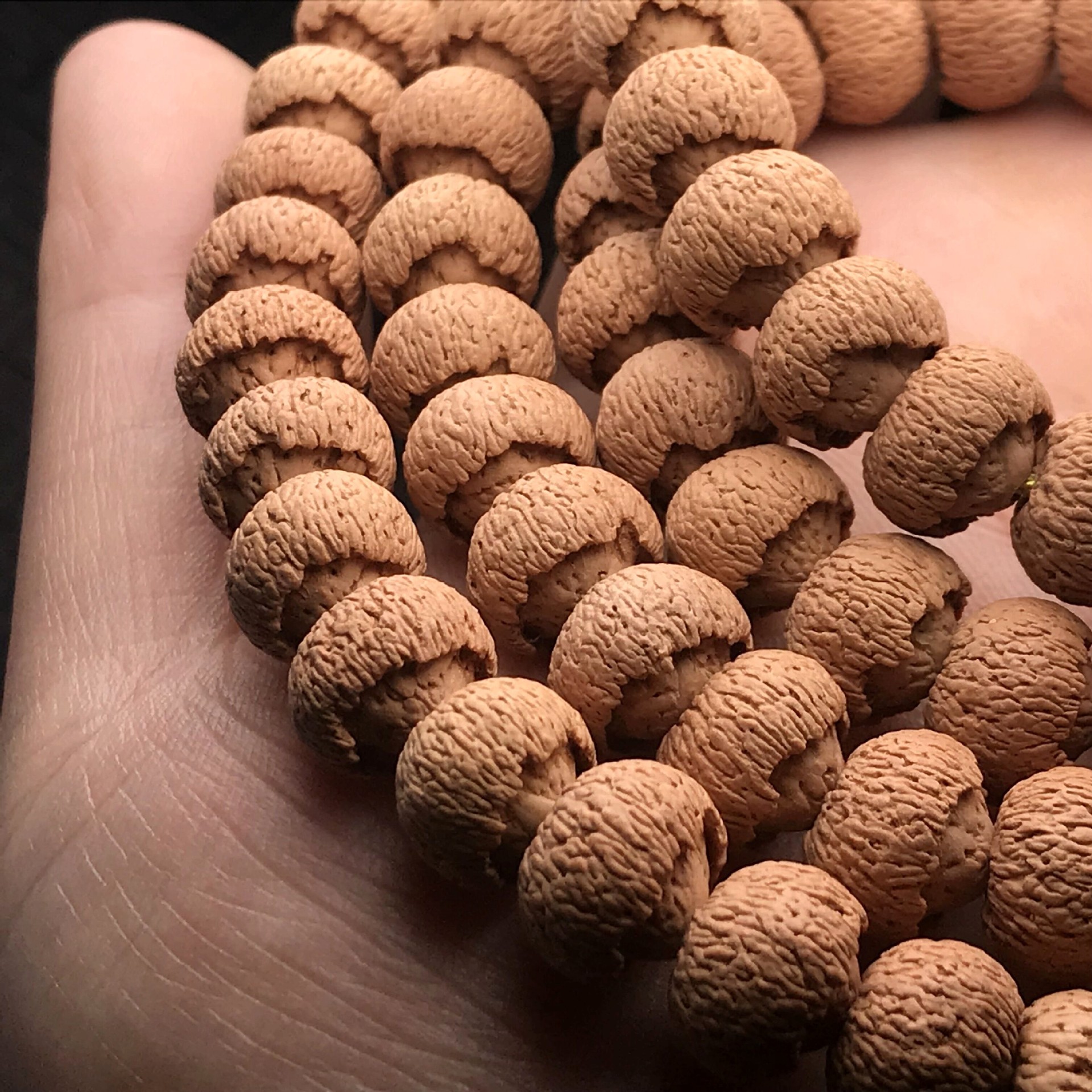 天然野生莲花菩提子 满齿满包莲花菩提苹果园108颗佛珠手链