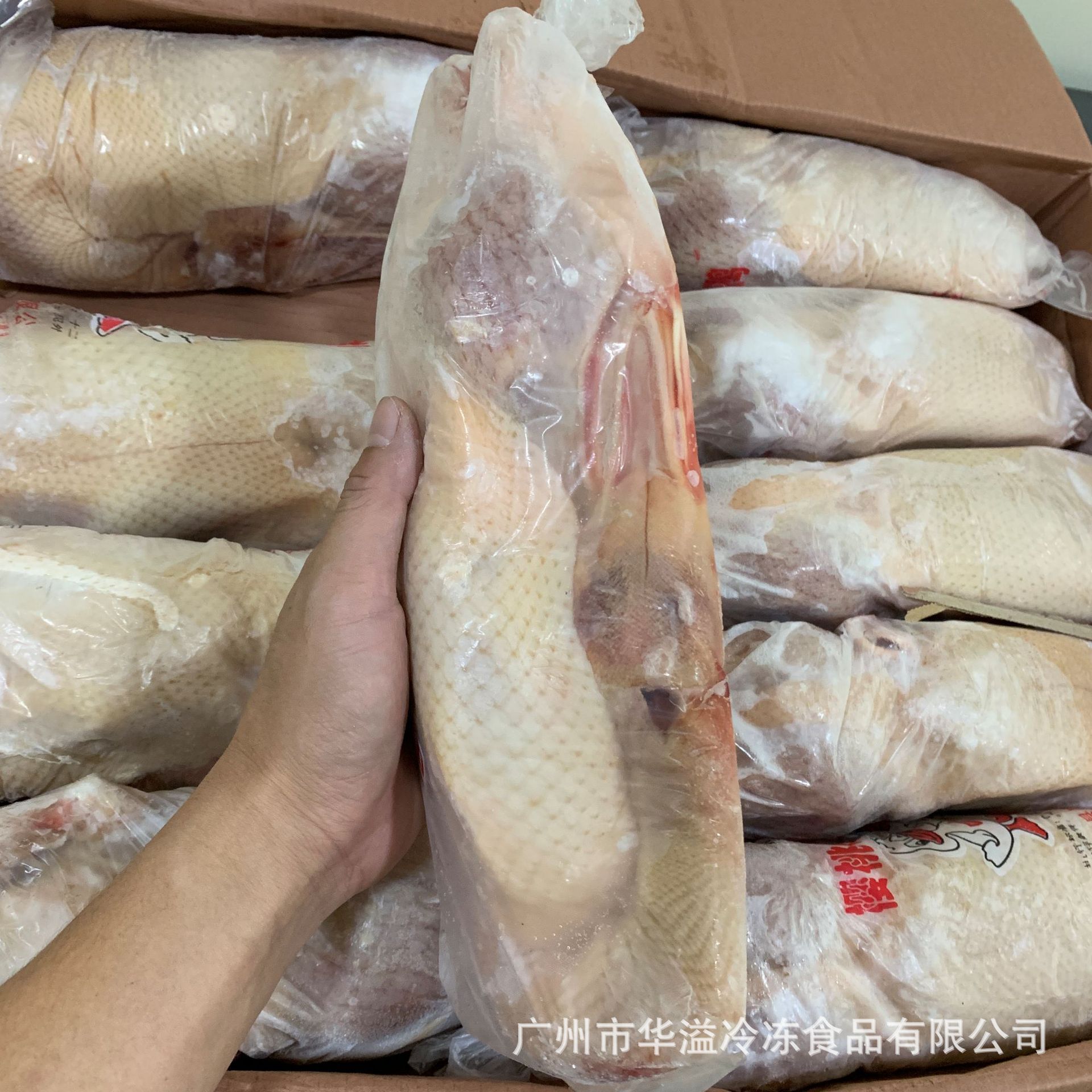 冷冻鸭 樱桃鸭 2.5斤*10只/箱 广州批发冷冻鲜鸭 樱桃鸭 白条鸭