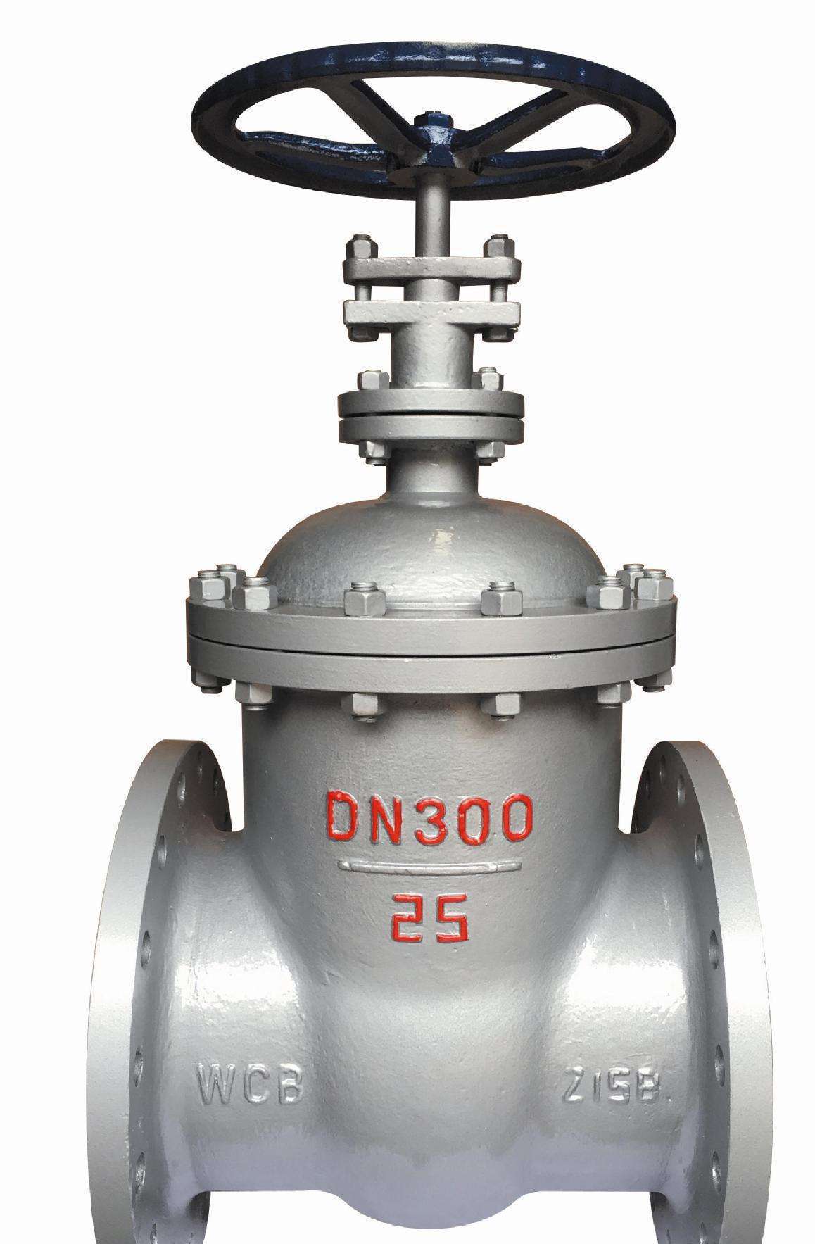 厂家直销 z45h 暗杆铸钢闸阀 可按客户要求定制