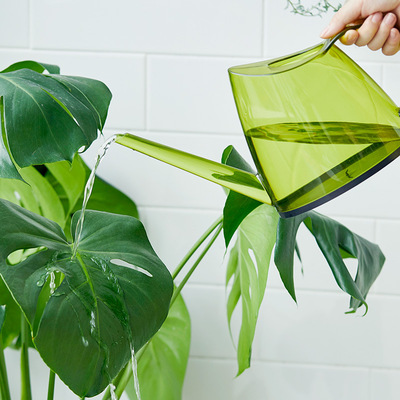 一件代发长嘴喷壶神器家用园艺多肉水壶浇水浇花洒植物塑料透明浇